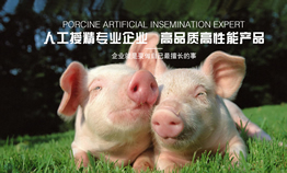 ���u�P�a��B�����˹��ھ��ă�(y��u)�c