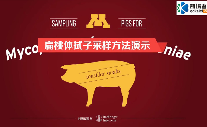 �����w���Ӳɘӷ�����ʾ