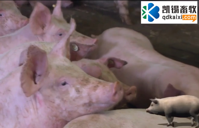 �i��Һ�ӱ��ɼ���ʾ