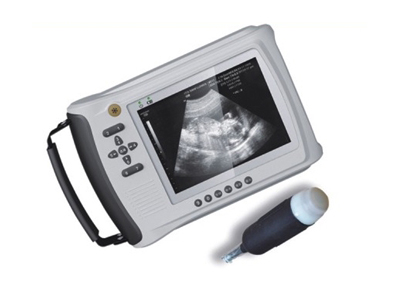 �i�����`�����е��˹��ھ����gҎ��