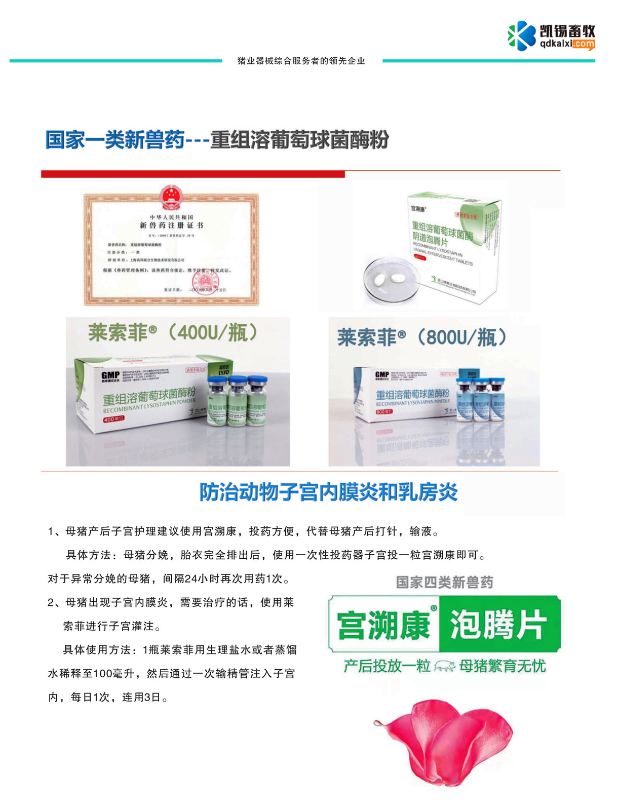 �ؽM���������ø��