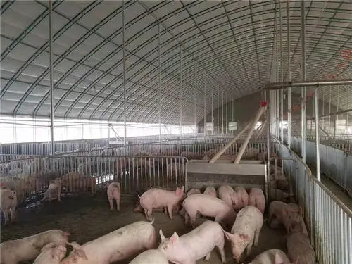 �ɹⶨ��PCR�z�y(c��)���F(xi��n)���(y��ng)�Եĳ�Ҋ(ji��n)ԭ��