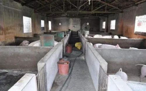 ��ν��͌������Ⱦ�ͼ������