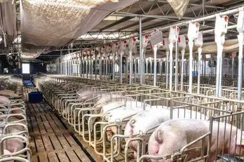 �e�`�����i�������i���ɹⶨ��PCR�z�y(c��)��Ҋ(ji��n)���(y��ng)�ԽY(ji��)������