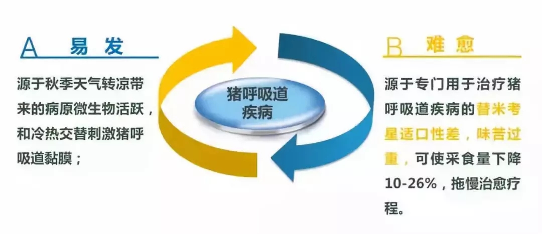 �ﶬ���߰l���@���i�����������A��ָ��Ո�պ���